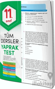 11. Sınıf Tüm Dersler Yaprak Test