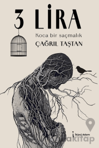 3 Lira
