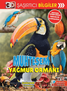 3D Şaşırtıcı Bilgiler - Muhteşem Yağmur Ormanı