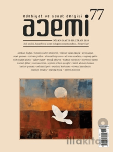 Acemi Edebiyat ve Sanat Dergisi Sayı 77