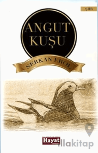 Angut Kuşu