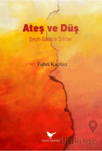 Ateş ve Düş: Şeyh Gâlib’e Şiirler