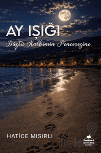 Ay Işığı