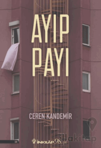Ayıp Payı