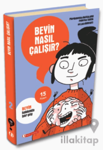Beyin Nasıl Çalışır? - 15 Soru Serisi
