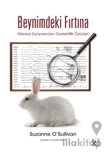 Beynimdeki Fırtına