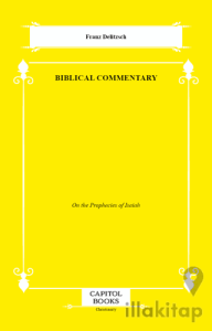 Biblical Commentary