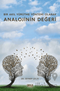 Bir Akıl Yürütme Yöntemi Olarak Analojinin Değeri