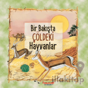 Bir Bakışta Çöldeki Hayvanlar