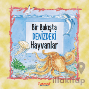Bir Bakışta Denizdeki Hayvanlar