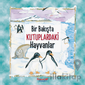 Bir Bakışta Kutuplardaki Hayvanlar