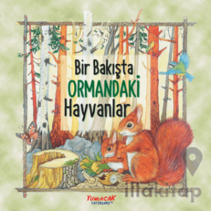 Bir Bakışta Ormandaki Hayvanlar