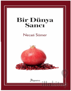 Bir Dünya Sancı