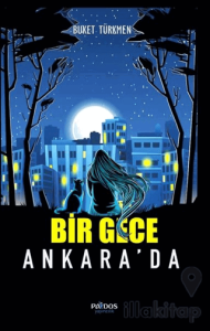 Bir Gece Ankara'da