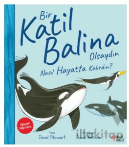 Bir Katil Balina Olsaydın Nasıl Hayatta Kalırdın?