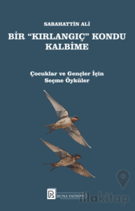 Bir Kırlangıç Kondu Kalbime
