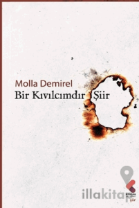 Bir Kıvılcımdır Şiir