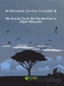 Bir Kucak Çiçek & Bir Haydut Kuş ve Diğer Hikâyeler