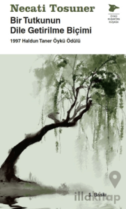 Bir Tutkunun Dile Getirilme Biçimi