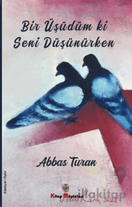 Bir Üşüdüm ki Seni Düşünürken