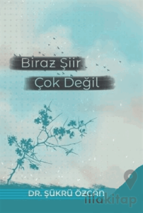 Biraz Şiir Çok Değil