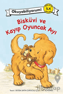 Bisküvi ve Kayıp Oyuncak Ayı