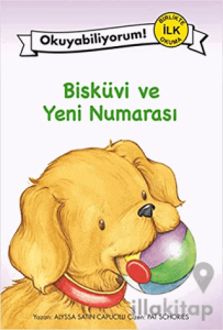 Bisküvi ve Yeni Numarası