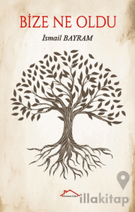 Bize Ne Oldu