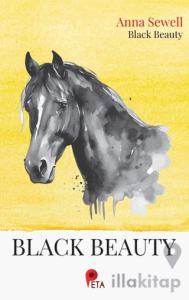 Black Beauty