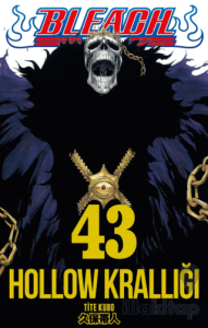 Bleach 43. Cilt