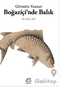 Boğaziçi'nde Balık