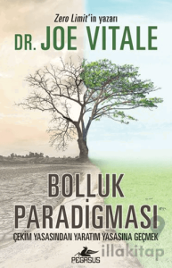Bolluk Paradigması