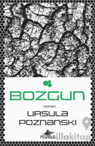 Bozgun