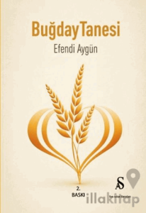 Buğday Tanesi