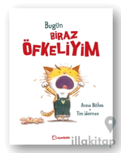 Bugün Biraz Öfkeliyim