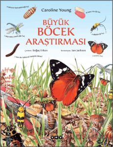 Büyük Böcek Araştırması