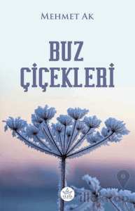 Buz Çiçekleri