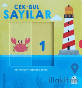 Çek-Bul Sayılar
