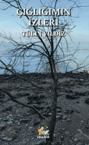 Çığlığımın İzleri