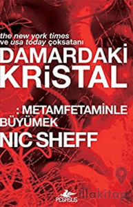 Damardaki Kristal: Metamfetaminle Büyümek