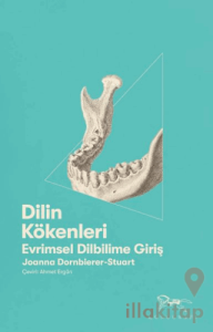 Dilin Kökenleri