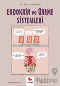 Endokrin ve Üreme Sistemleri - Gençler İçin Çizgilerle Bilim