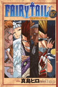 Fairy Tail 17. Cilt