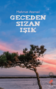 Geceden Sızan Işık