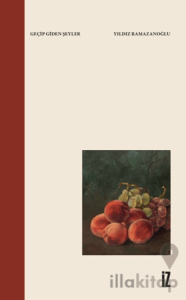 Geçip Giden Şeyler