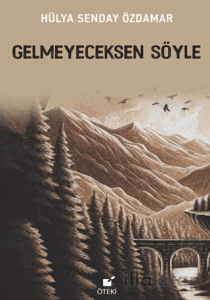 Gelmeyeceksen Söyle