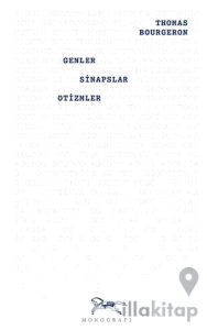 Genler, Sinapslar, Otizmler