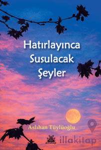 Hatırlayınca Susulacak Şeyler