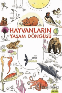 Hayvanların Yaşam Döngüsü