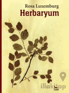 Herbaryum